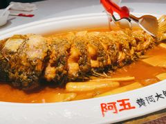 -阿五黄河大鲤鱼(英协路店)