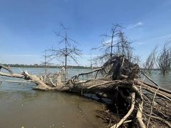 -园博园(地铁站)