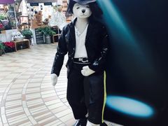 -济州岛泰迪熊博物馆