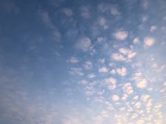 -人民防洪胜利纪念塔