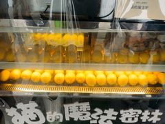 -猫的魔法密林(衣裳街店)
