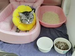 -美联众合24小时·皮肤科·外科·全科诊疗中心(华苑分院)