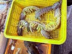 -拉威海鲜市场