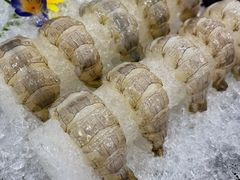 瀨尿蝦刺身-嘉升大排档(番禺总店)