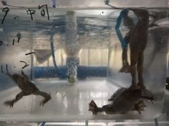 -浙江农林大学(东湖校区)