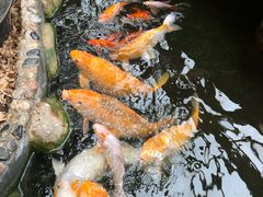 -上海大自然野生昆虫馆(东方明珠·爬宠昆虫探索中心)