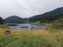 -武陵山森林公园