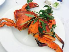 -越海渔村