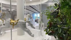 -MuseMarry婚纱(前海嘉里中心店)