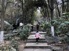 -云龙山