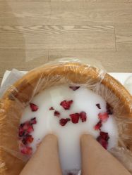 -奥斯芬欧系贵族SPA