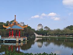 -金砂公园