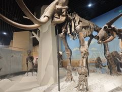 -国家自然博物馆