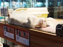 -幸福蓝海影城(上海闵行日月光中心杜比全景声店)