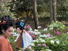 -洛阳市隋唐城遗址植物园