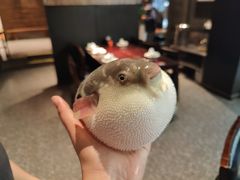 -永安鱼庄·镇江菜(东吴路店)