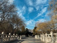 -晋祠公园