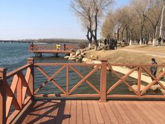 -丁香湖公园