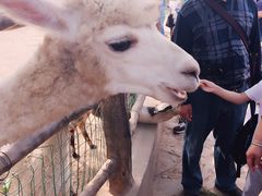 -西安秦岭野生动物园