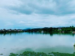 -美的鹭湖森林度假区