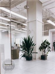 -P.STYLE派斯造型