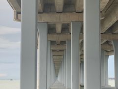 -宝安西湾红树林湿地公园