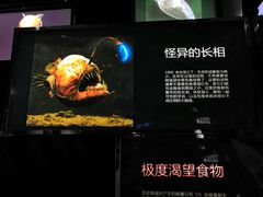 -同济大学四平路校区深海探索馆