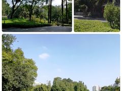 -晓港公园