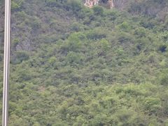 -神农溪纤夫文化旅游区