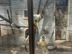-昆明动物园