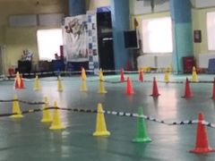 -长春乐奇平衡车儿童体能运动中心