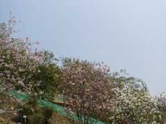 -小南山公园