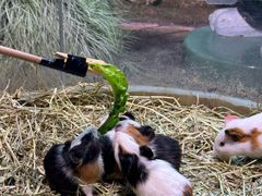 -正佳雨林生态植物园