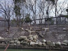 -常州淹城野生动物世界