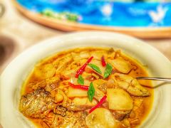 -鸽子侯·家宴·平价海鲜(绿地店)