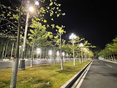 -番禺广场(市桥街道)