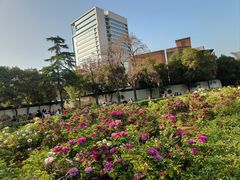 -洛阳市牡丹公园