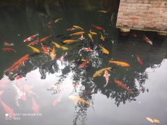 -千滋百味·醉江澜花园餐厅(街道口店)