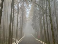 -山王坪喀斯特国家生态公园