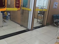 -米苏动物医院·犬猫专科·骨科外科内窥镜