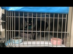 -宠颐生宠物医院·异宠猫科内科·诊疗中心宠巢店