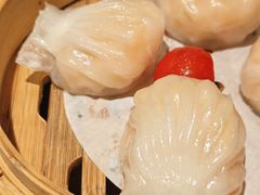 -茶港·点心·啫啫煲(群光广场店)