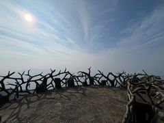 -罗田天堂寨风景区