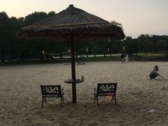 -上海佘山世茂艾美酒店