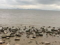 -深圳湾公园(南山区)