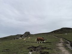 -灵山