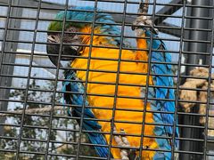 -祥源·阜阳生态乐园