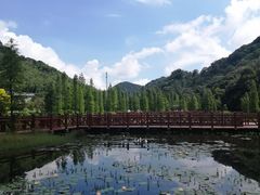 -广州市石门国家森林公园