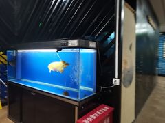 -唐宴(大唐购物中心店)
