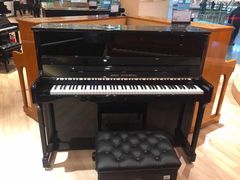 -柏斯音乐艺术中心·钢琴·吉他(世纪金源店)